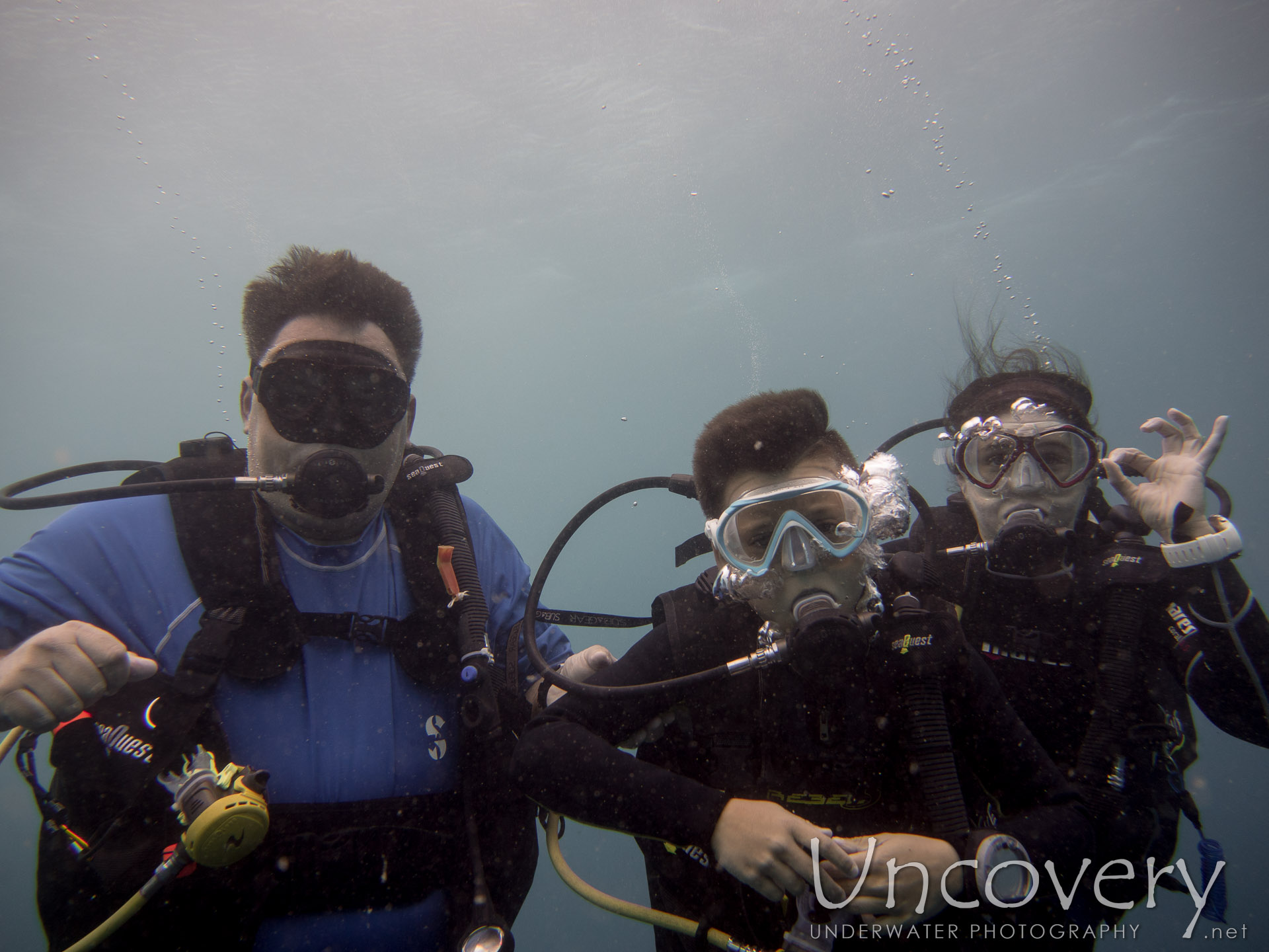 00 To Be Determined, photo taken in Maldives, Male Atoll, North Male Atoll, Black Coral