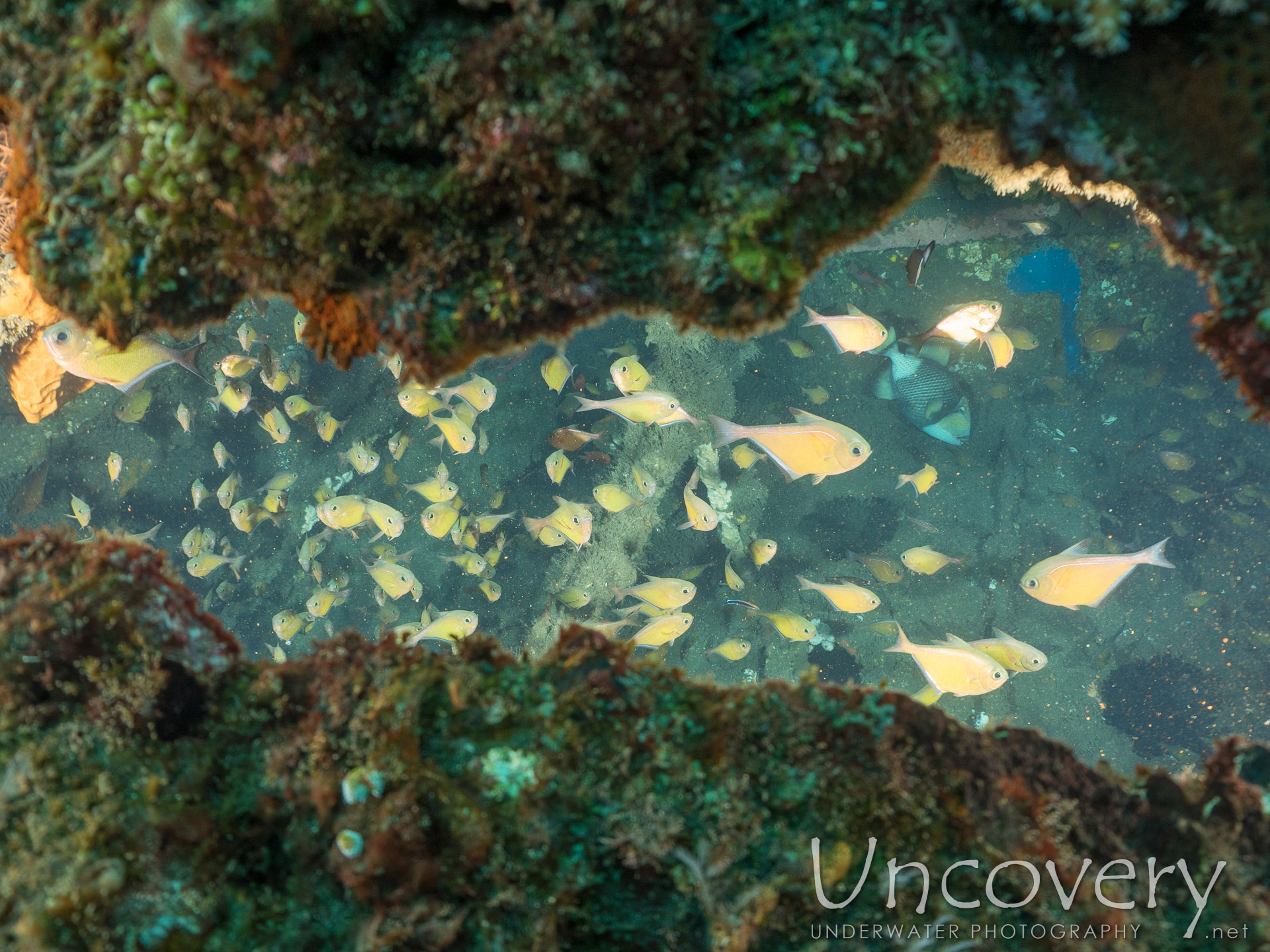 Wreck, photo taken in Indonesia, Bali, Tulamben, Liberty Wreck