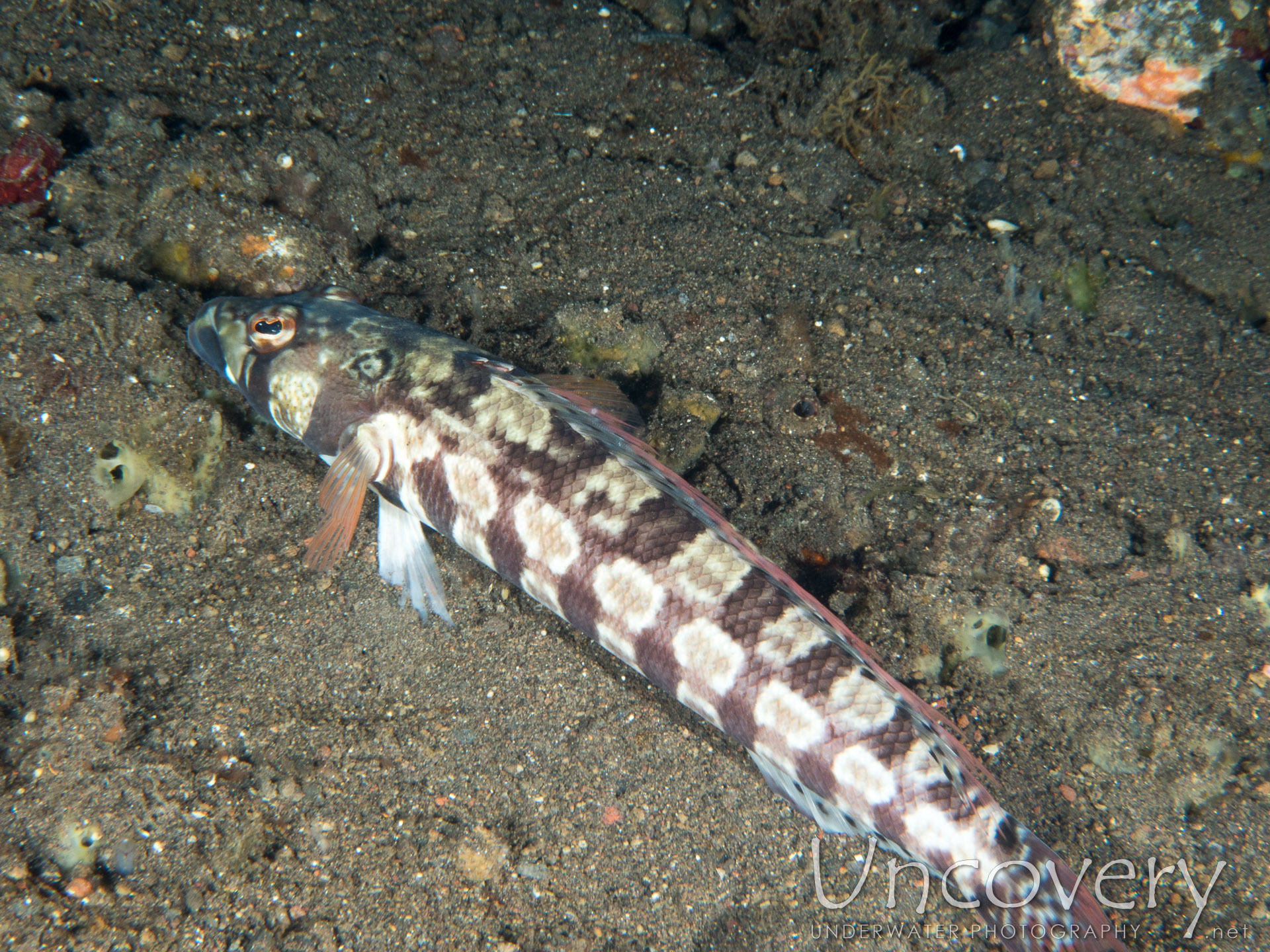 00 To Be Determined, photo taken in Indonesia, Bali, Tulamben, River