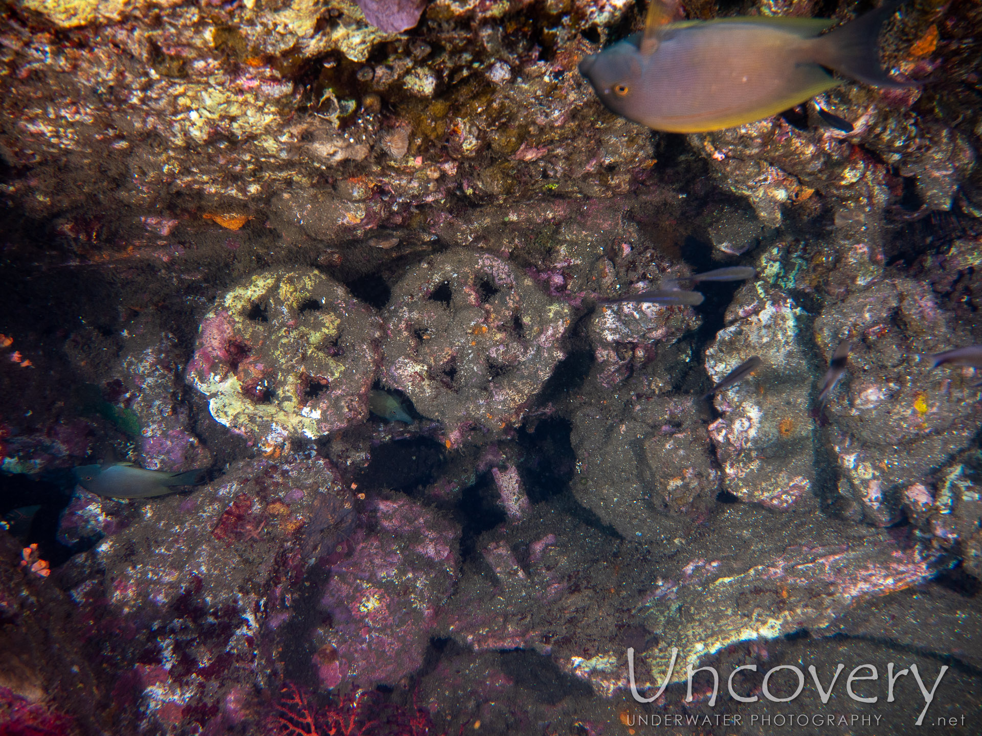 Wreck, photo taken in Indonesia, Bali, Tulamben, Liberty Wreck