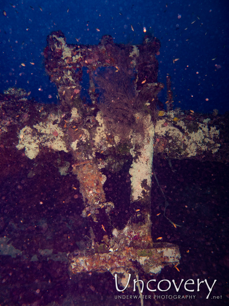 Wreck, photo taken in Maldives, Male Atoll, South Male Atoll, Kuda Giri