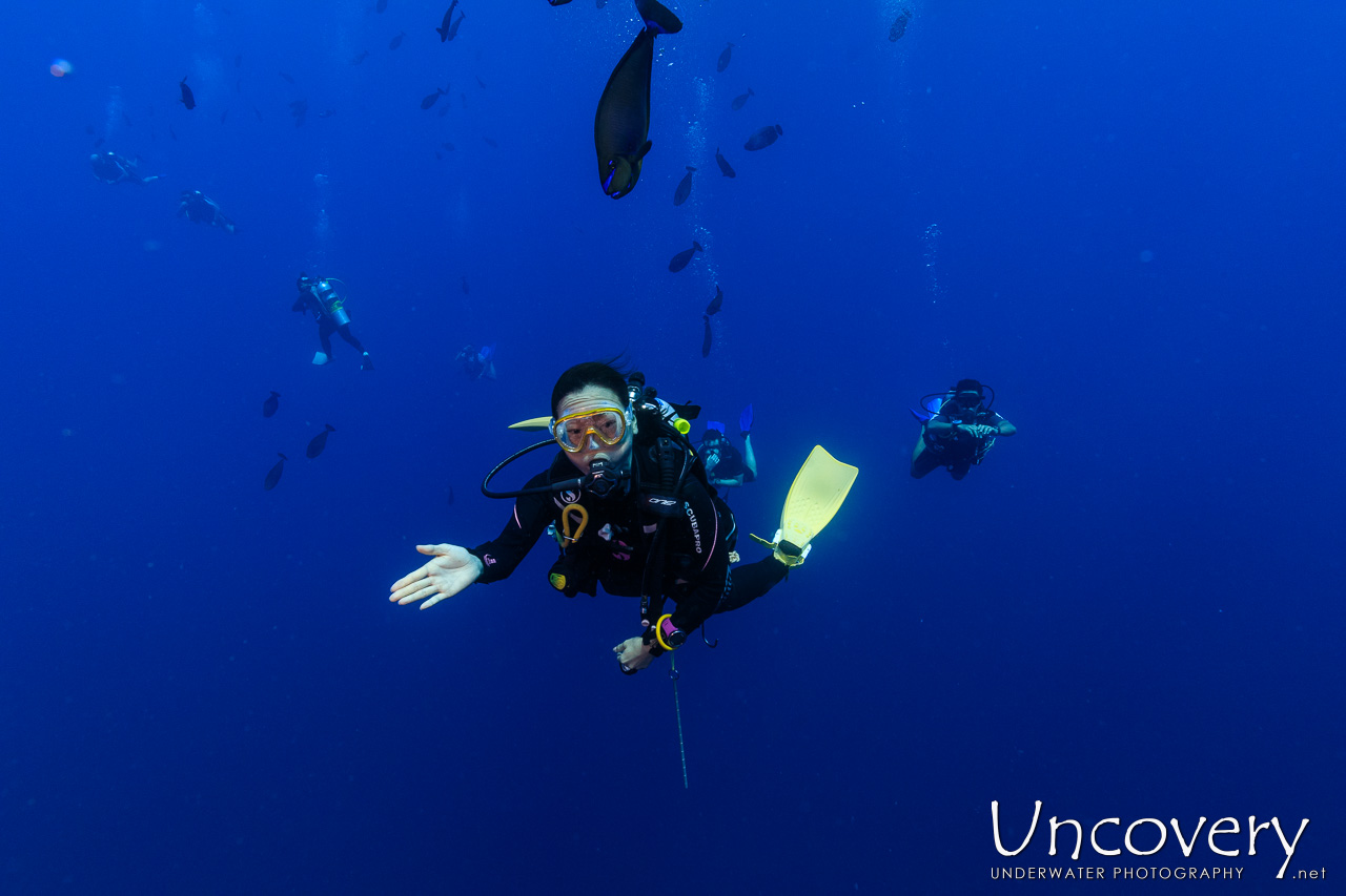 , photo taken in Maldives, Male Atoll, South Male Atoll, Coca Thila