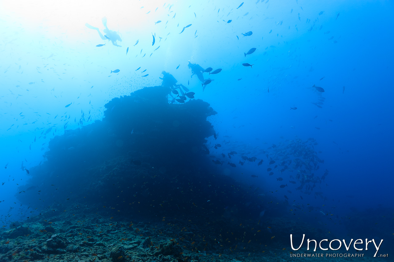 , photo taken in Maldives, Male Atoll, South Male Atoll, n/a