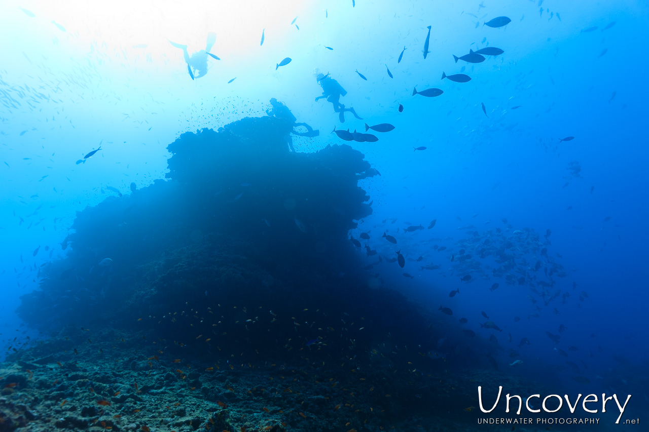 , photo taken in Maldives, Male Atoll, South Male Atoll, n/a