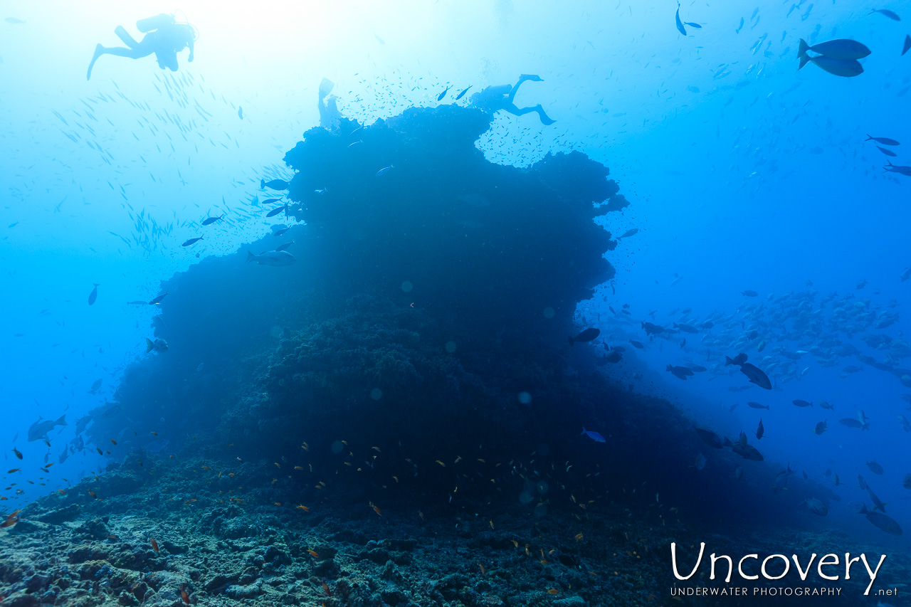, photo taken in Maldives, Male Atoll, South Male Atoll, n/a