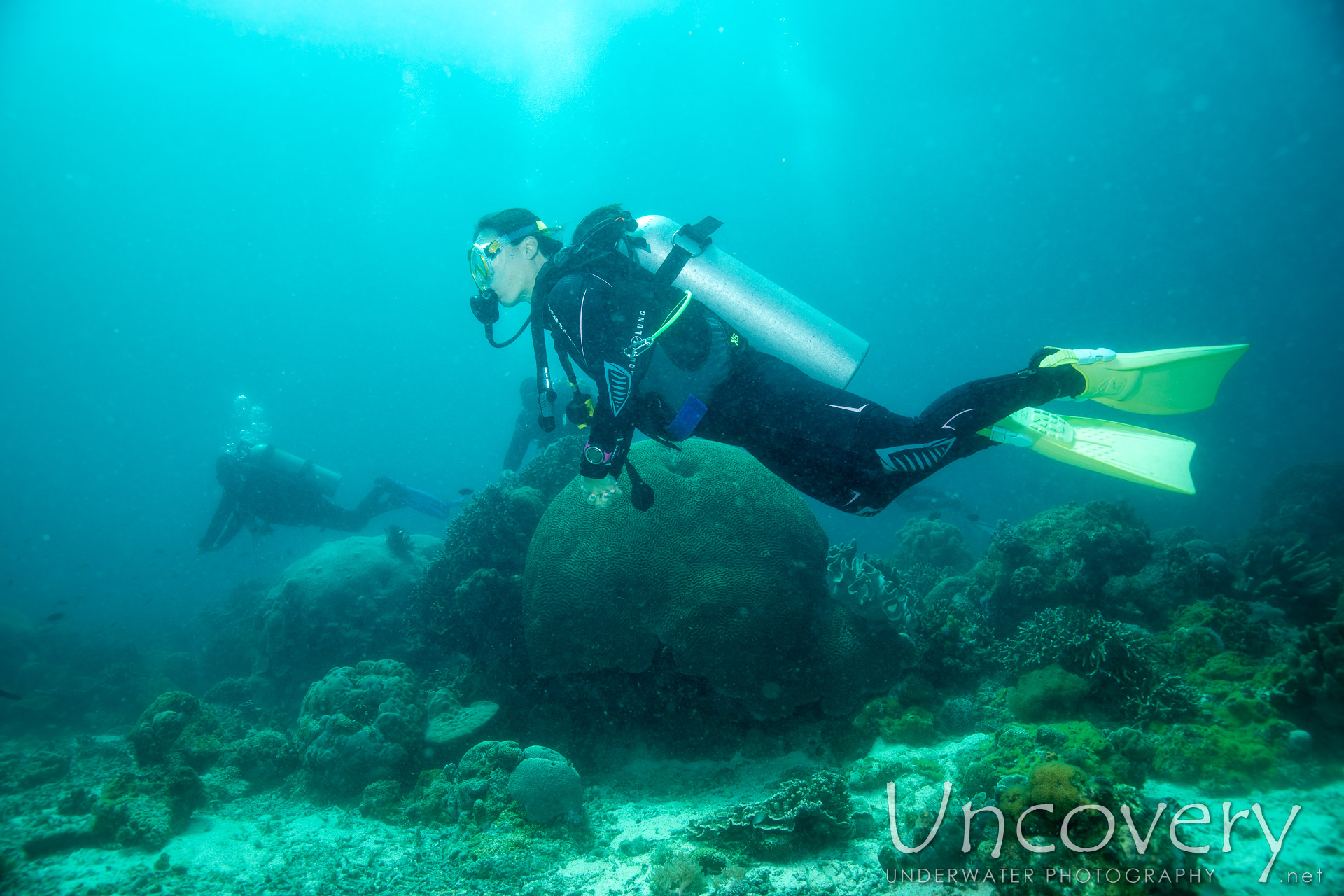 Coral, photo taken in Philippines, Negros Oriental, Apo Island, Chapel Point