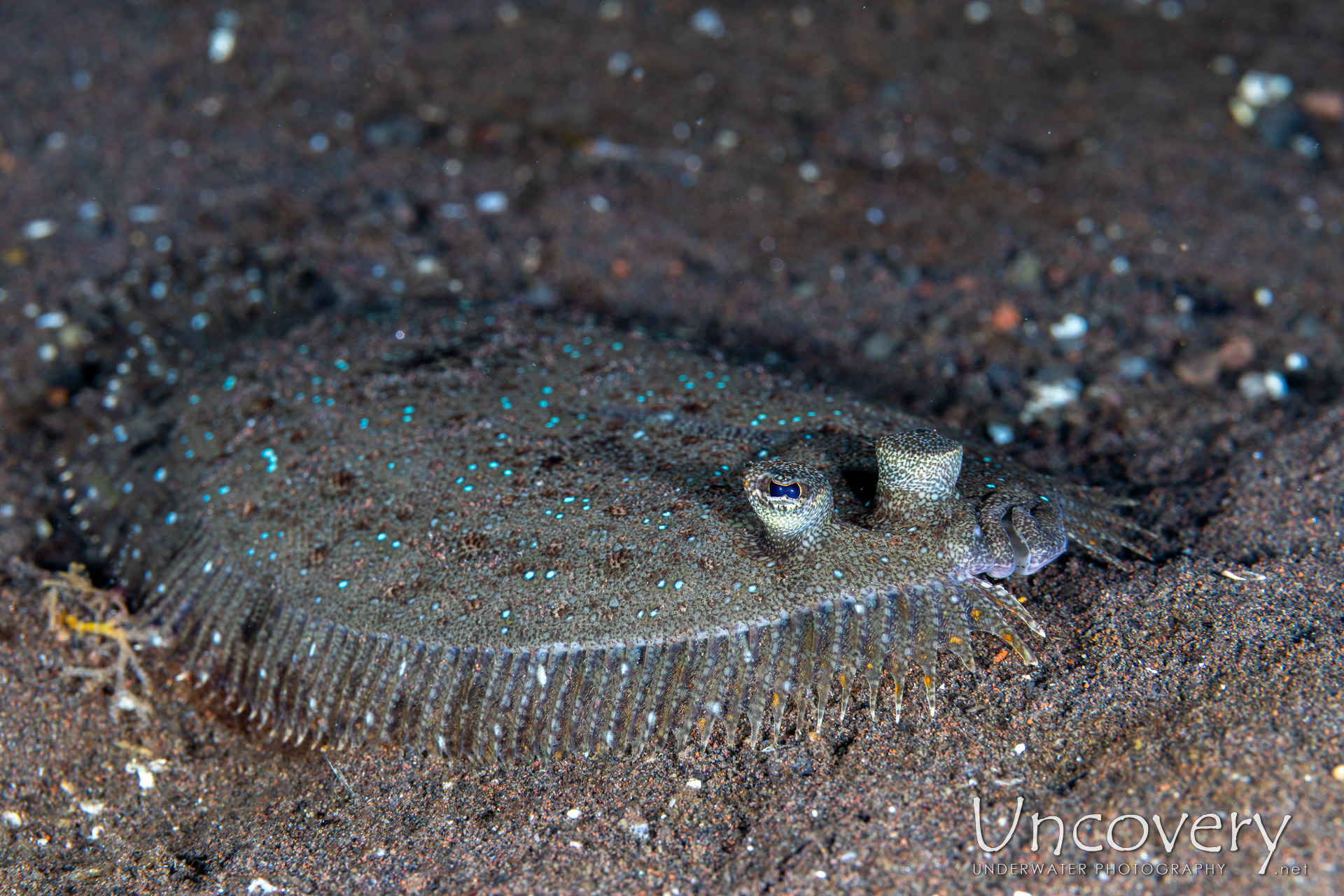 , photo taken in Indonesia, Bali, Tulamben, Tukad Linggah