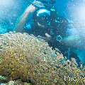00 To be determined, photo taken in Maldives, Male Atoll, North Male Atoll, Madivaru Beyru