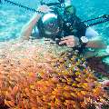 00 To be determined, photo taken in Maldives, Male Atoll, North Male Atoll, Madivaru Beyru