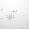 00 To be determined, photo taken in Maldives, Male Atoll, North Male Atoll, n/a