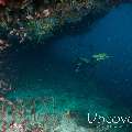 , photo taken in Maldives, Male Atoll, South Male Atoll, Vadhoo Caves