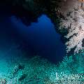 , photo taken in Maldives, Male Atoll, South Male Atoll, Mystery Caves