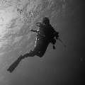 , photo taken in Maldives, Male Atoll, South Male Atoll, Cocoa Thila