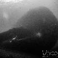 Wreck, photo taken in Indonesia, Bali, Tulamben, Liberty Wreck