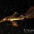 Robust Ghostpipefish (Solenostomus cyanopterus), photo taken in Indonesia, North Sulawesi, Lembeh Strait, Sarena Besar 1