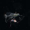 Slipperlobster, photo taken in Indonesia, North Sulawesi, Lembeh Strait, TK Blackwater