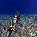 , photo taken in Maldives, Male Atoll, South Male Atoll, Maafushi Beiru