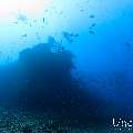 , photo taken in Maldives, Male Atoll, South Male Atoll, n/a