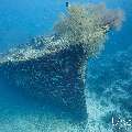 Wreck, photo taken in Maldives, Male Atoll, South Male Atoll, Kuda Giri