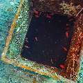 Wreck, photo taken in Maldives, Male Atoll, South Male Atoll, n/a