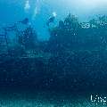 Wreck, photo taken in Maldives, Male Atoll, South Male Atoll, n/a