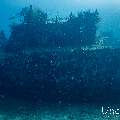 Wreck, photo taken in Maldives, Male Atoll, South Male Atoll, n/a