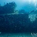 Wreck, photo taken in Maldives, Male Atoll, South Male Atoll, n/a