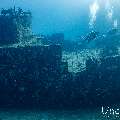 Wreck, photo taken in Maldives, Male Atoll, South Male Atoll, n/a
