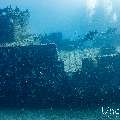 Wreck, photo taken in Maldives, Male Atoll, South Male Atoll, n/a