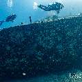 Wreck, photo taken in Maldives, Male Atoll, South Male Atoll, n/a