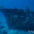 Wreck, photo taken in Maldives, Male Atoll, South Male Atoll, n/a