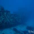 Wreck, photo taken in Maldives, Male Atoll, South Male Atoll, n/a