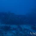 Wreck, photo taken in Maldives, Male Atoll, South Male Atoll, n/a