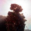 , photo taken in Maldives, Male Atoll, South Male Atoll, n/a