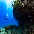 , photo taken in Maldives, Male Atoll, South Male Atoll, Sharon Rock
