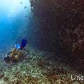 , photo taken in Maldives, Male Atoll, South Male Atoll, Kandooma Caves