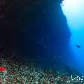 , photo taken in Maldives, Male Atoll, South Male Atoll, Kandooma Caves