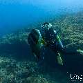 , photo taken in Maldives, Male Atoll, South Male Atoll, n/a