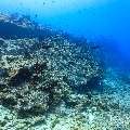 , photo taken in Maldives, Male Atoll, South Male Atoll, Gulhi Thila