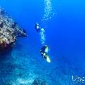 , photo taken in Maldives, Male Atoll, South Male Atoll, Gulhi Thila