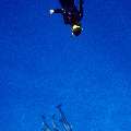 Spinner dolphin (Stenella longirostris), photo taken in Maldives, Male Atoll, South Male Atoll, Gulhi Corner