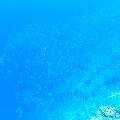 , photo taken in Maldives, Male Atoll, South Male Atoll, Gulhi Corner