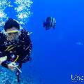 , photo taken in Maldives, Male Atoll, South Male Atoll, Gulhi Corner