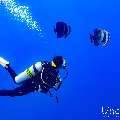 , photo taken in Maldives, Male Atoll, South Male Atoll, Gulhi Corner
