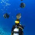, photo taken in Maldives, Male Atoll, South Male Atoll, Gulhi Corner