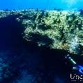 , photo taken in Maldives, Male Atoll, South Male Atoll, n/a