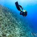 , photo taken in Maldives, Male Atoll, South Male Atoll, Maafushi Corner