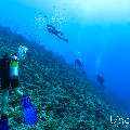 , photo taken in Maldives, Male Atoll, South Male Atoll, Veligandu Beiru