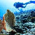 , photo taken in Maldives, Male Atoll, South Male Atoll, Veligandu Beiru