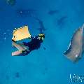 Family, photo taken in Maldives, Male Atoll, South Male Atoll, n/a